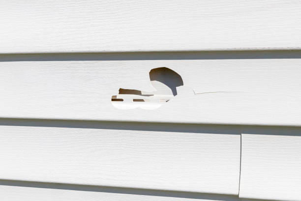 Best Custom Trim and Detailing for Siding  in Quinnesec, MI
